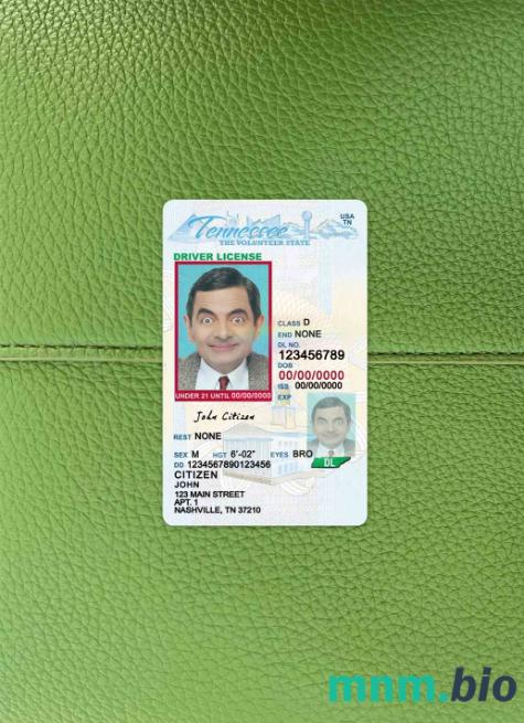 USA Tennessee prawo jazdy poniżej 21 lat photolook, w pełni edytowalny